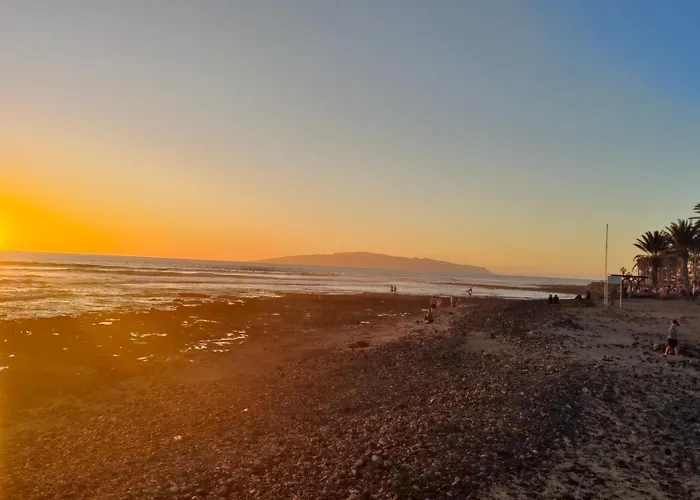 Apartamento Laura F363