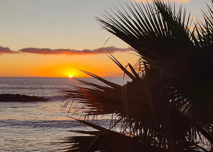 Apartamento Laura F363 *