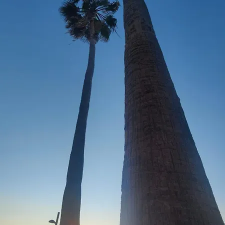 Appartamento Laura F363