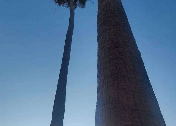 Lägenhet Laura F363